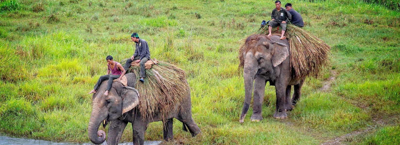 Wildlife and Nature Tour